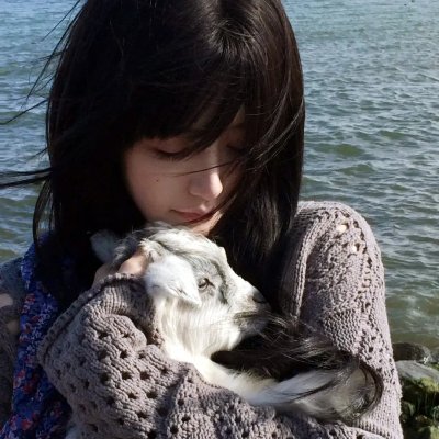 三只流浪狗